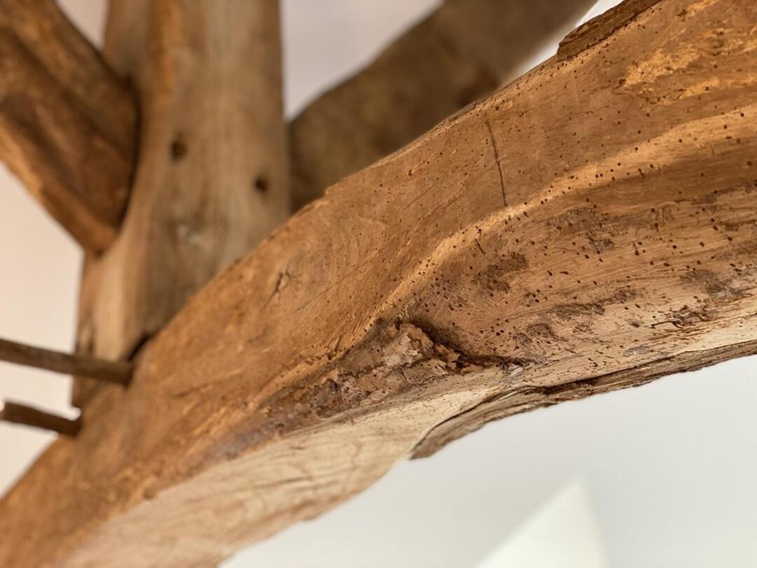 Le Domaine D'Angerville - Chambres D'Hotes Zimmer foto